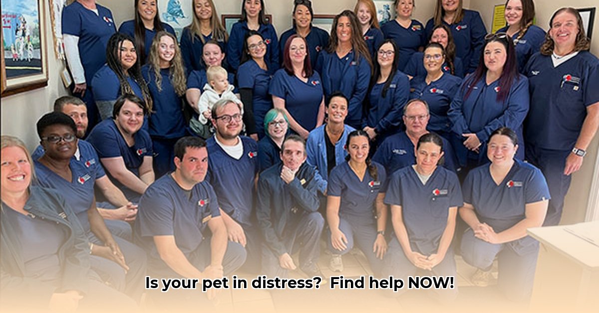 emergency-vet-niceville-fl